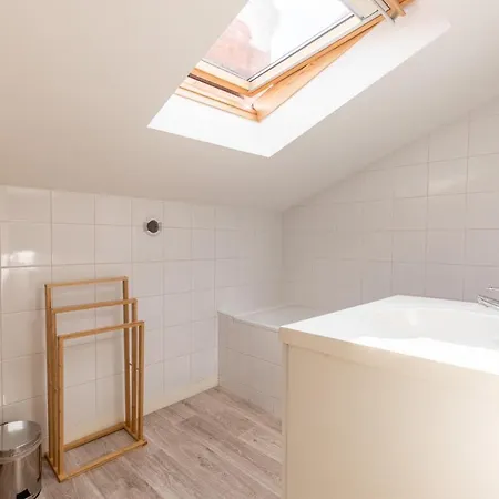 F3 Duplex Lumineux Amazonia Hypercentre Lamartine 203 * Clermont-Ferrand