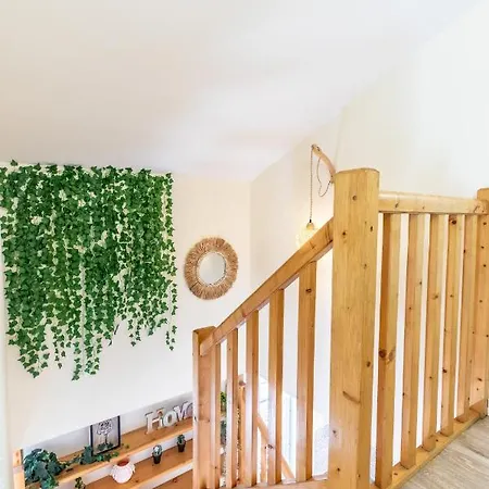 Apartment F3 Duplex Lumineux Amazonia Hypercentre Lamartine 203 *