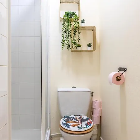 F3 Duplex Lumineux Amazonia Hypercentre Lamartine 203 Appartement Clermont-Ferrand