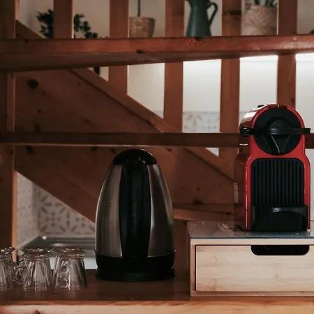 Lejlighed F3 Duplex Lumineux Amazonia Hypercentre Lamartine 203 Clermont-Ferrand