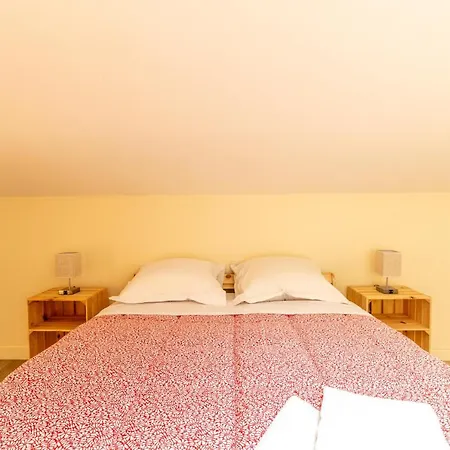 F3 Duplex Lumineux Amazonia Hypercentre Lamartine 203 * Clermont-Ferrand