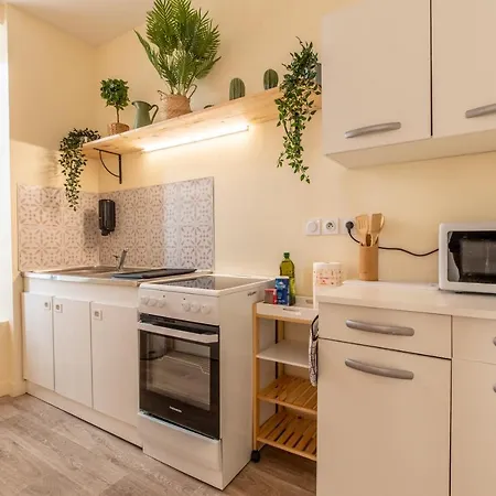 F3 Duplex Lumineux Amazonia Hypercentre Lamartine 203 Lägenhet *