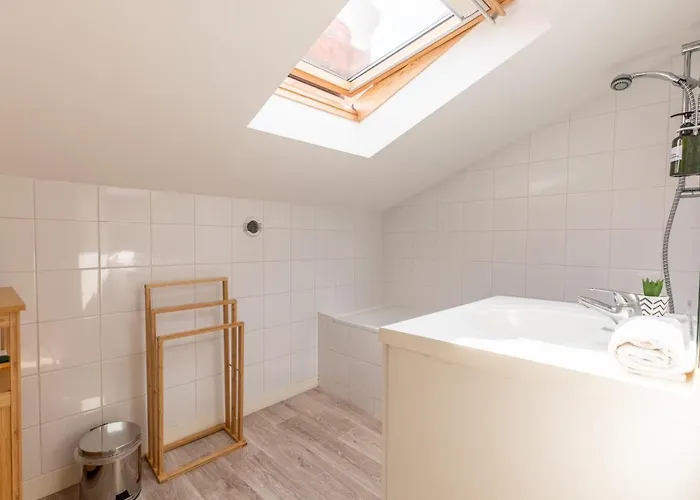 F3 Duplex Lumineux Amazonia Hypercentre Lamartine 203 * Clermont-Ferrand