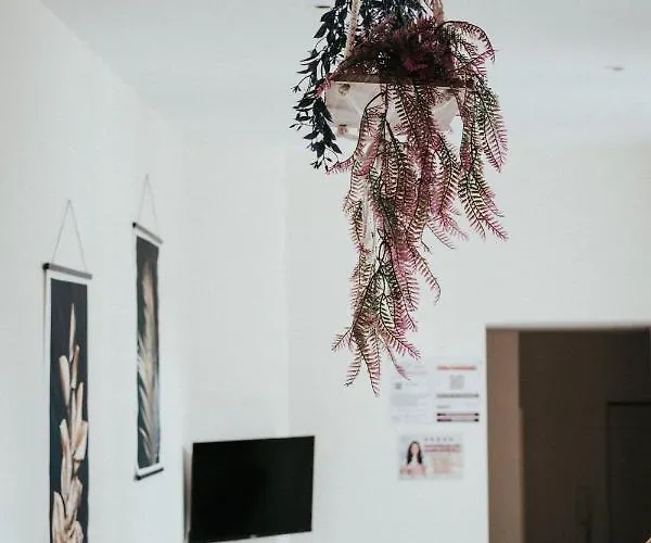 F3 Duplex Lumineux Amazonia Hypercentre Lamartine 203 Clermont-Ferrand