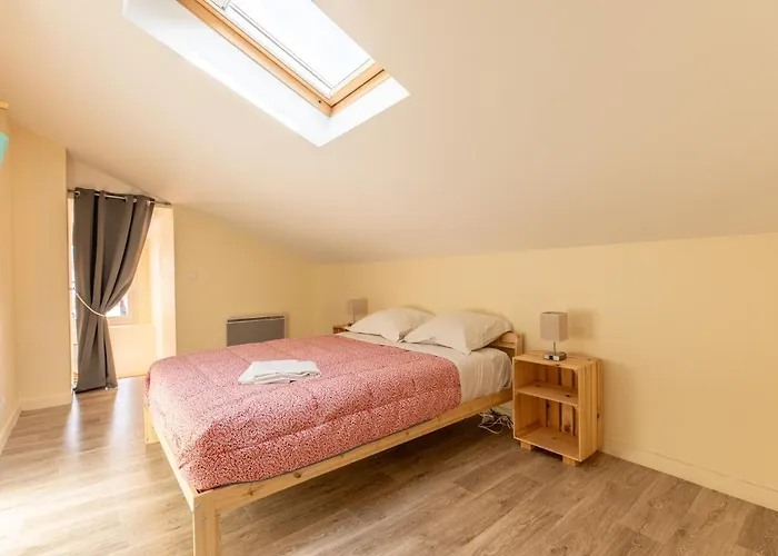 F3 Duplex Lumineux Amazonia Hypercentre Lamartine 203 * Clermont-Ferrand