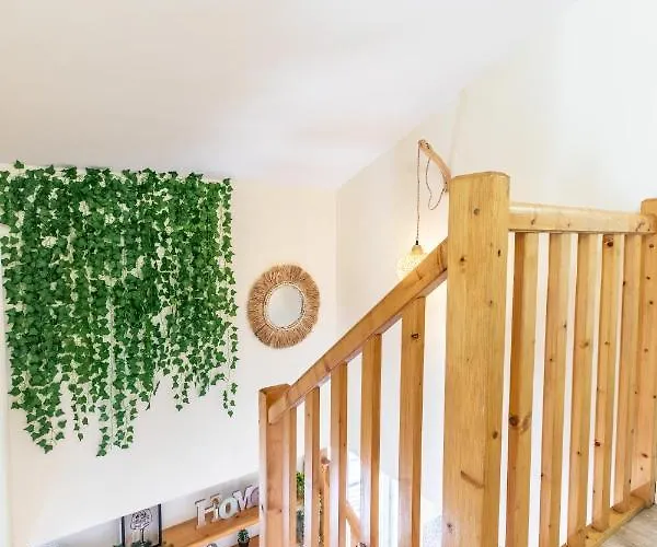 Lejlighed F3 Duplex Lumineux Amazonia Hypercentre Lamartine 203 *