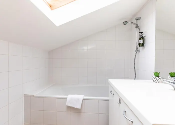 F3 Duplex Lumineux Amazonia Hypercentre Lamartine 203