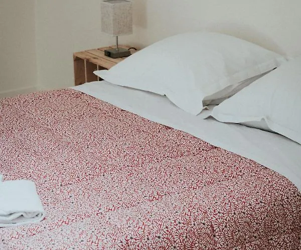 F3 Duplex Lumineux Amazonia Hypercentre Lamartine 203 * Clermont-Ferrand