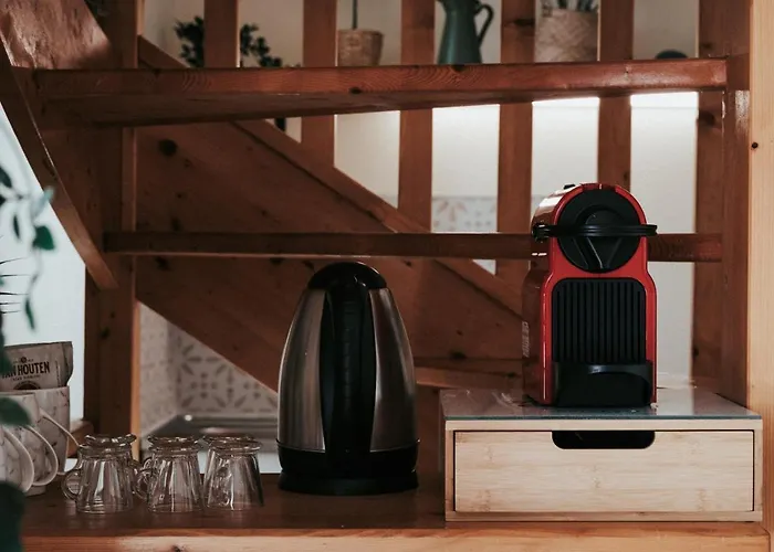 Apartment F3 Duplex Lumineux Amazonia Hypercentre Lamartine 203 Clermont-Ferrand