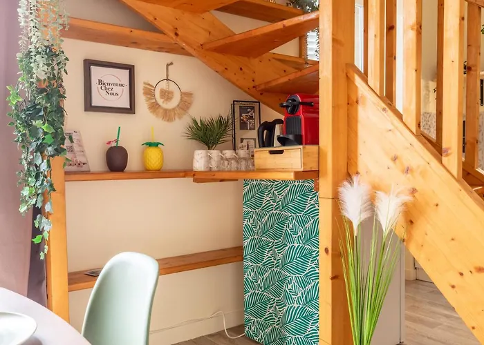 F3 Duplex Lumineux Amazonia Hypercentre Lamartine 203 Lägenhet